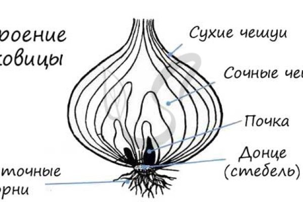 Кракен это современный даркнет