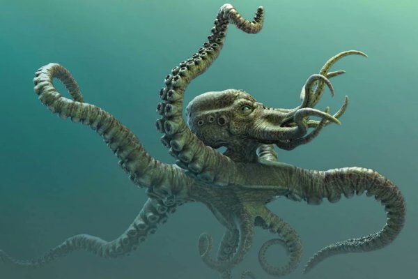 Кракен сайт официальный kraken clear com