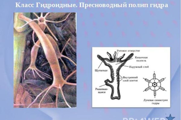 Кракен даркнет krawebes