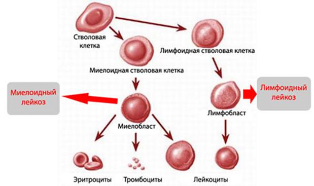 Кракен крипто